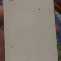 معاوضه با خوراکی