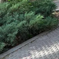 فراغت
