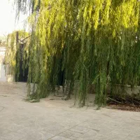 باغ-ویلا