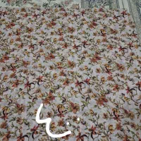 چند قواره کوردی۴متر نیم|لباس|بوکان, |دیوار