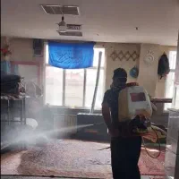 حذف وریشه کنی حشرات موذی فقط دریک مرحله باضمانت|خدمات نظافت|بومهن, |دیوار