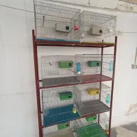 فروش قفس و طبقه|لوازم جانبی حیوانات|بوشهر, |دیوار