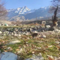 بنا سیمان کار