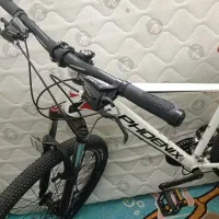 دوچرخه زمردکویر