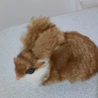 عروسک خرس و خرگوش|اسباب‌بازی بچه|سقز, |دیوار