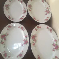 ظروف پذیرایی نو