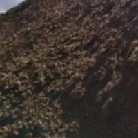 خاک گوسفندی