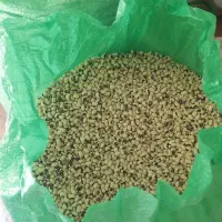 لوبیا خوش پخت|خوردنی و آشامیدنی|کوهدشت, |دیوار