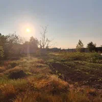 زمین مسکونی ۱۰۰۰ متری، عرفان کویخ رشت