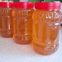 عسل بهاره