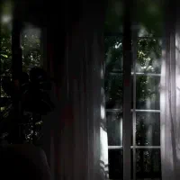ایفون ۱۳ نرمال در حد نو ۲۵۶|موبایل|تهران, شکوفه (عبدل آباد)|دیوار