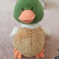 عروسک|اسباببازی|امیدیه, |دیوار