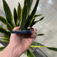 ۱۴نرمال یک ماه کار|موبایل|اصفهان, احمدآباد|دیوار