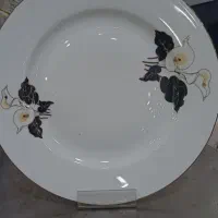 بشقاب غذاخوری نیلوفر