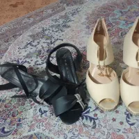 کفش مجلسی