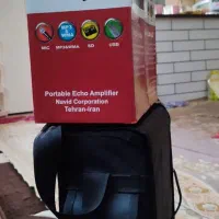 فروش یک دستگاه اکو همراه بیسیم|صوتی و تصویری|دزفول, |دیوار