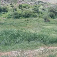 فروش-باغ-در-روستای-الاحق