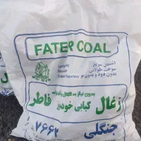 زغال خودسوز کبابی جنگلی