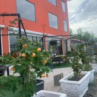 استخدام نیروی خدماتی