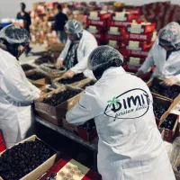 نیروی کار خانم جهت بسته بندی خرما