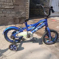 دوچرخه ۱۲|دوچرخه، اسکیت، اسکوتر|سوسنگرد, |دیوار