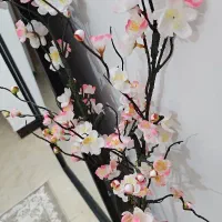 شاخه گل|گل مصنوعی|بابل, |دیوار