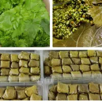 دلمه خانگی برگ مو کلم و فلفل|خوردنی و آشامیدنی|تهران, کاشانک|دیوار