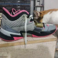 کتونی اورجینال45جوردن|کیف، کفش، کمربند|هشتگرد, شهرک بعثت|دیوار