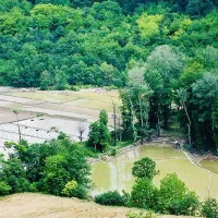 زمین مسکونی باغی گیلان.|اجارهٔ خانه و ویلا|تهران, ترمینال غرب|دیوار