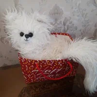 گربه ملوس عروسک ولنتاین کادو روز عشق داخل باکس