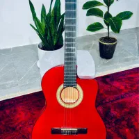 گیتار خوشرنگ اورجینال