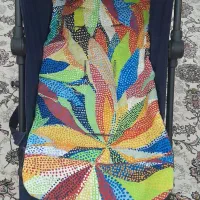 کالسکه عصایی