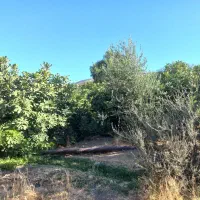 باغ و منزل مسکونی