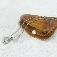 مرواید عشق|بدلیجات|نیشابور, امام خمینی|دیوار