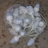 ریسه بلوطی