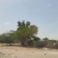 فروش زمین4بر 470متر چهچکورروبرو آبشورک دریا|فروش خانه و ویلا|بندرعباس, |دیوار