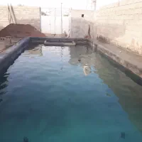 سرامیک استخر|خدمات پیشه و مهارت|دزفول, |دیوار