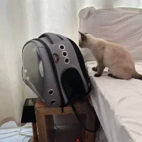 باکس کوله حمل فضایی پت سگ و گربه