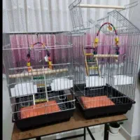 قفس ۱۰۳۳ پرنده عروس هلندی طوطی برزیلی گرینچیک راهب|لوازم جانبی حیوانات|تهران, جیحون|دیوار