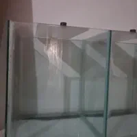 فروش آکواریوم و ماهی انجل و حلزون|ماهی|شهرکرد, |دیوار