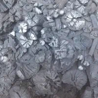 زغال کبابی با کیفیت|عمدهفروشی|شیراز, گویم|دیوار