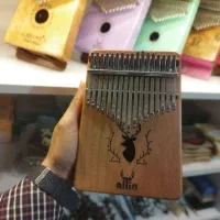 کالیمبا‌ مدل DZ فروشگاه موسیقی دنیای هنر لاهیجان|پیانو، کیبورد، آکاردئون|لاهیجان, کوه بیجار|دیوار