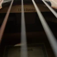 گیتار یاماها c40 اصل اندونزی|گیتار، بیس، امپلیفایر|اندیشه, اندیشه فاز ۱|دیوار