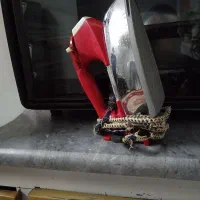 اتو ناسیونال ژاپنی