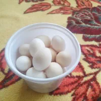 تخم مرغ خانگی تازه
