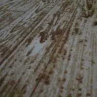 موکت طرح پارکت بسیار تمیز