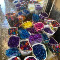 جشنواره رز هلندی بدونه واسطه ازگلخانه|گل و گیاه طبیعی|تهران, آهنگ|دیوار