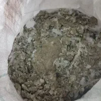 سلام کود کبوتر کیسه