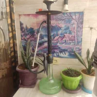 قلیون عربی اصل معاوضه با کتونی گوشی و ..|کوهنوردی و کمپینگ|قرچک, زیبا شهر|دیوار