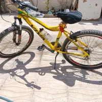 فروش فوری|دوچرخه، اسکیت، اسکوتر|شیراز, کوشک میدان|دیوار